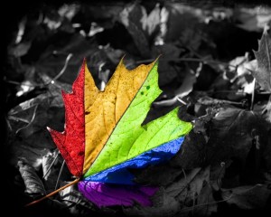 Leaves-Images