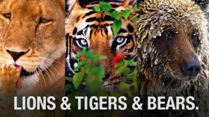 LTB-Web-610x343_png_610x343_crop_upscale_q85