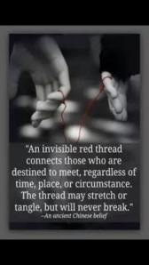 10430391_10154933400270105_1778875768577040506_n