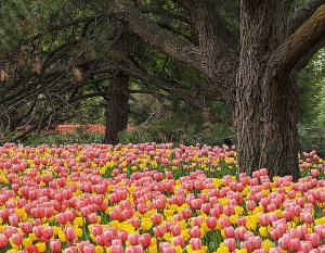 0802150823501p5073122_