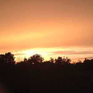 11406776_10155622726305702_7332397529314558721_n