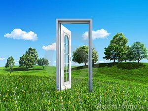 door-to-success-green-meadow-14215155