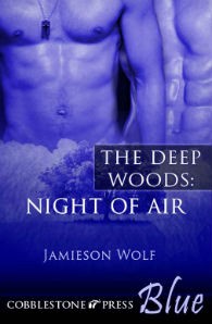 NightofAir-cover.jpg