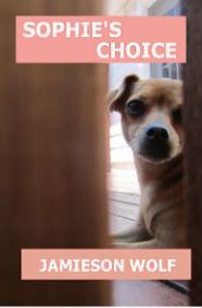 SophiesChoice-cover.jpg